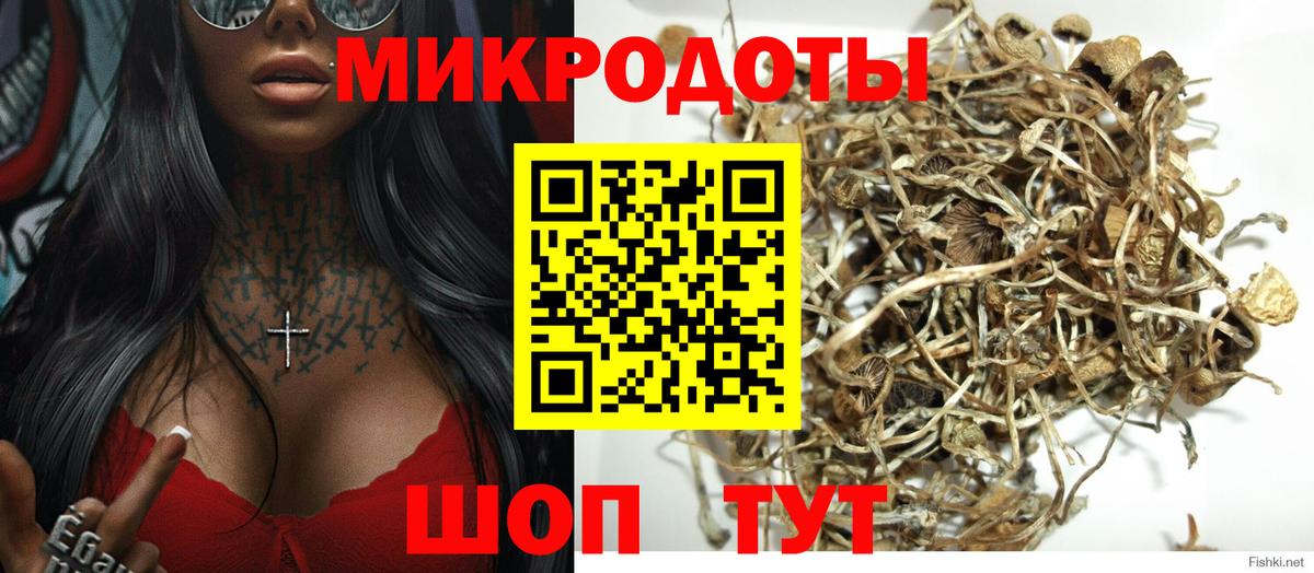 Холмск  Галлюциногенные грибы Psilocybe  Вход с VPN 