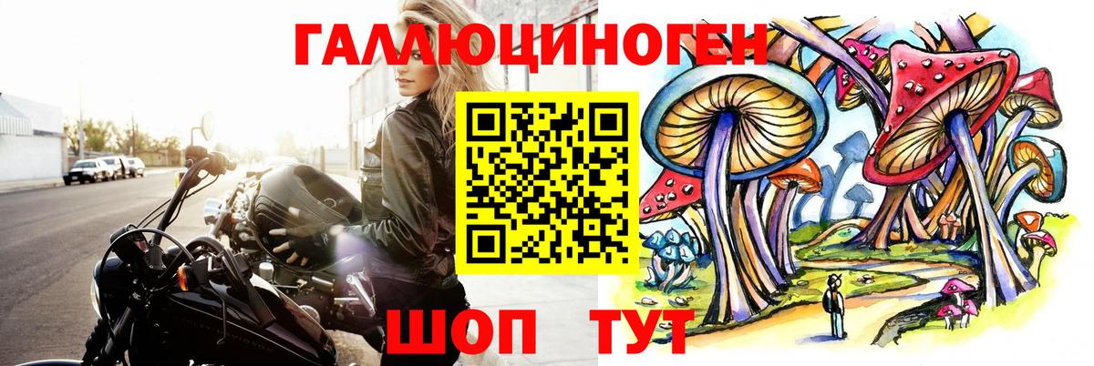Псилоцибиновые грибы Cubensis Холмск